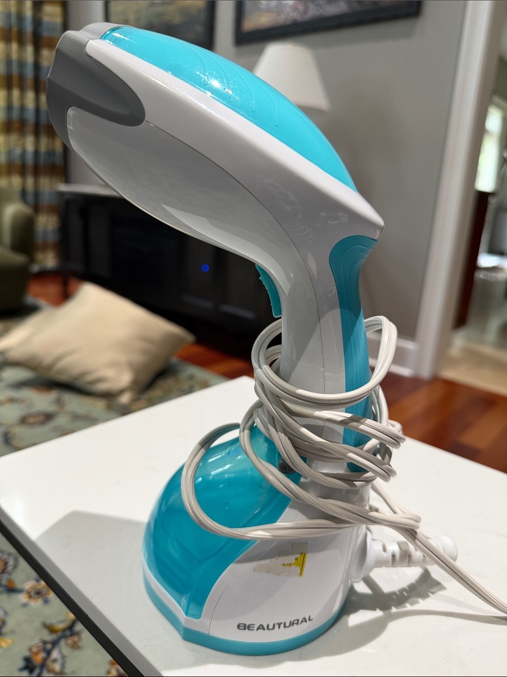 Handheld Garment Steamer - Turquoise White